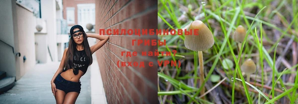 дживик Армянск