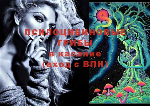 дживик Армянск